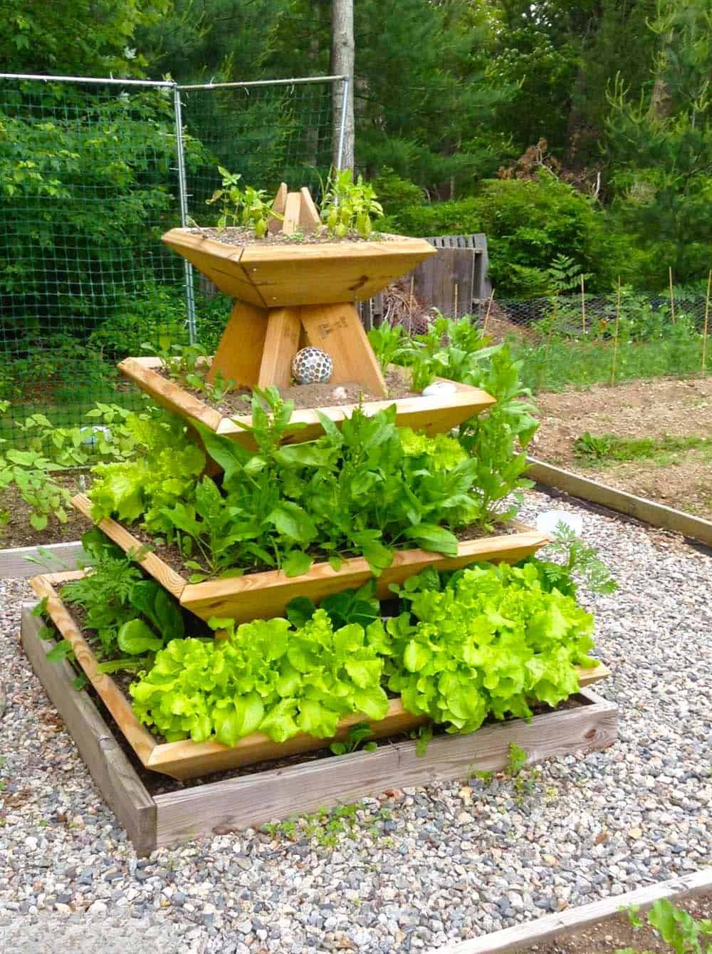 Tiered Salad Garden