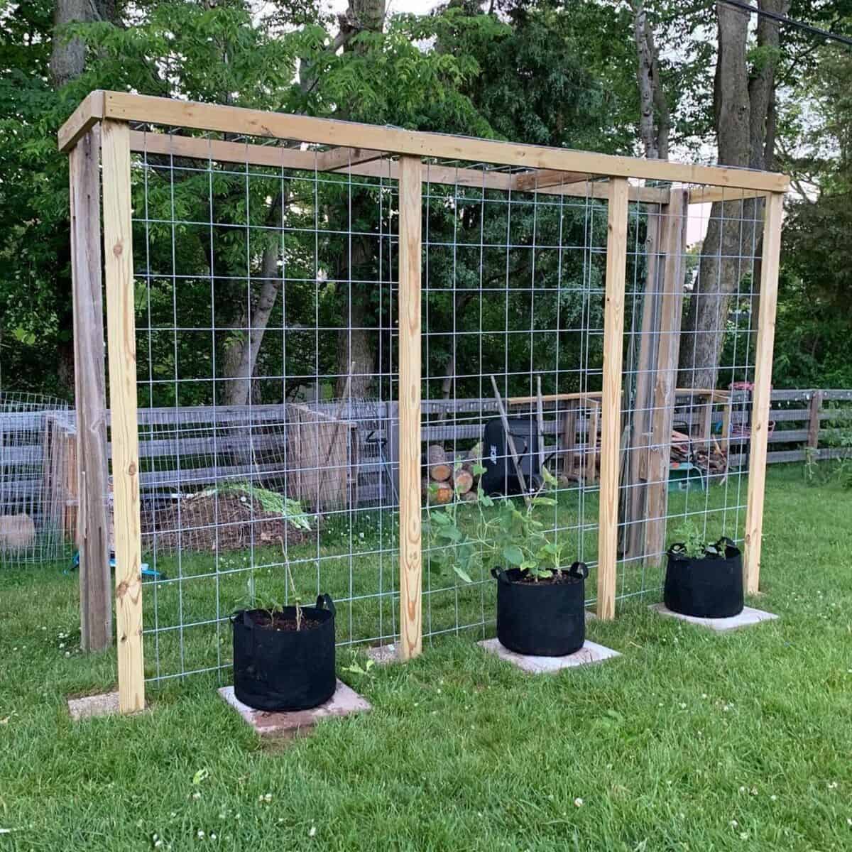 DIY Wooden Structure For Veggie Trellis