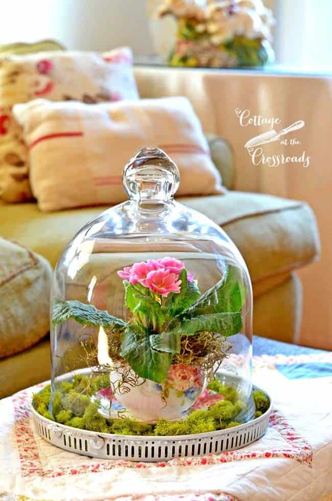 Create a Table Centerpiece with a Terrarium Garden