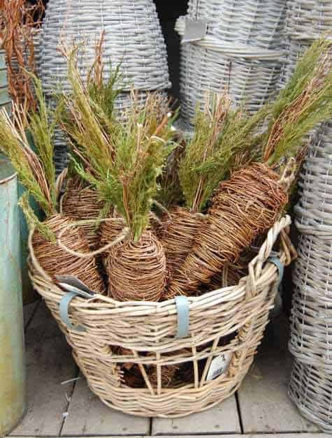 Impress Guests with Twine Carrots in a Woven Basket