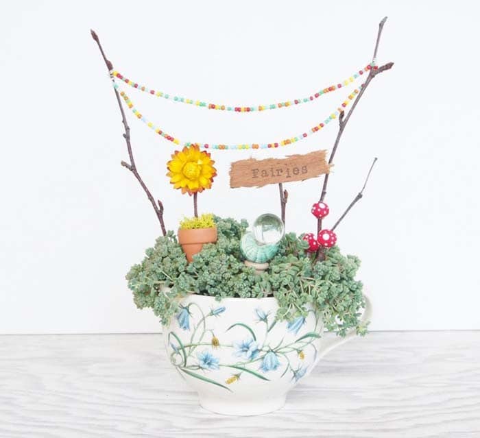 Create a Compact Teacup Fairy Garden