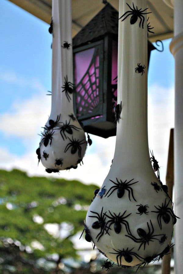 Spooky Spider Nests