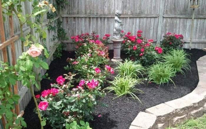 Add Roses To A Corner Garden