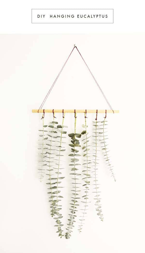 Delicate Wall Hanging with Greenery Leaves