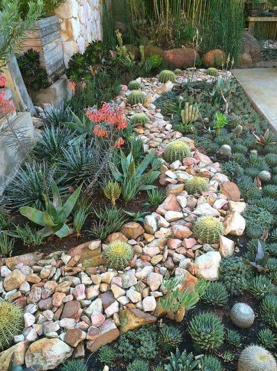 Succulents and Dry Riverbed Rock Idea