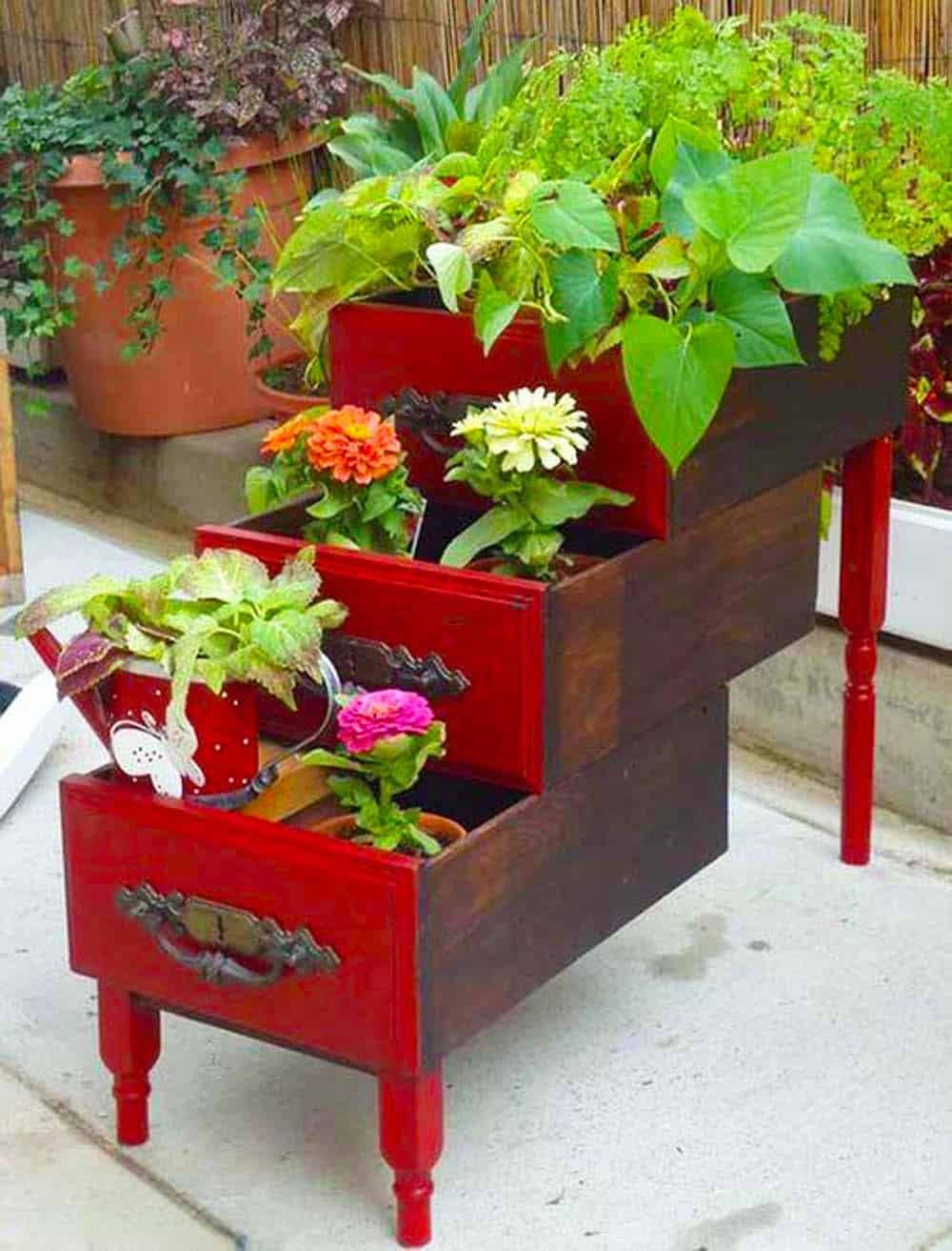 Vintage Drawer Garden