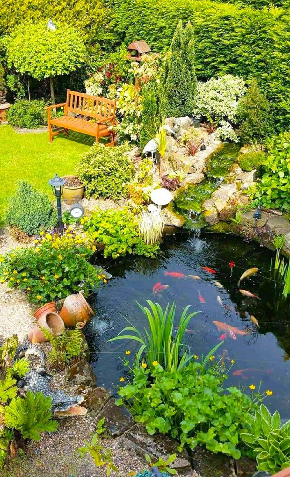 Enchanted Garden Pond