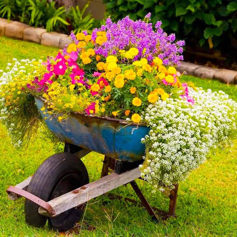 Whimsical Wheelbarrow Garden