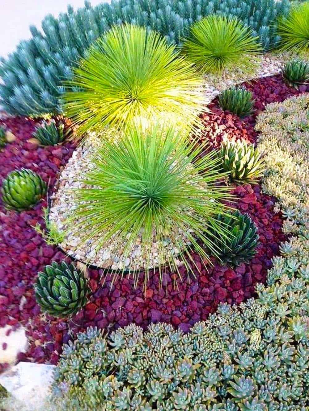 Succulent Texture Medley