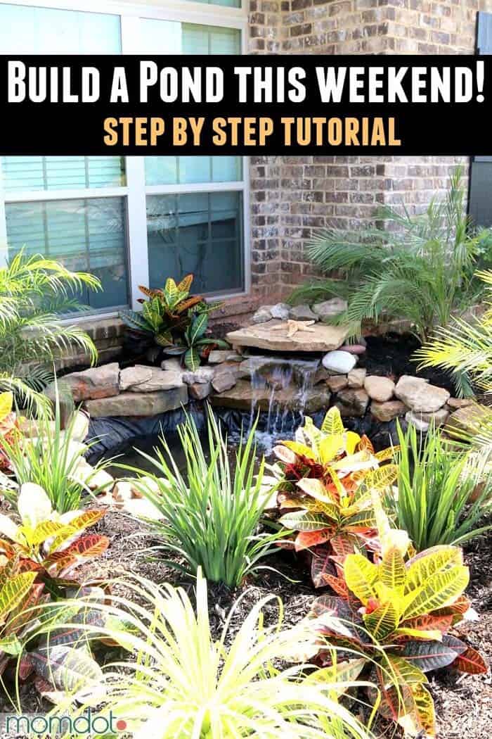 Build an Ornamental Garden Pond