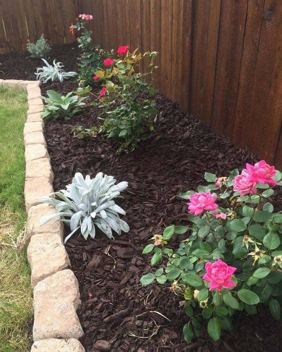 Support Your Plant Growth with Wood Chip Mulch