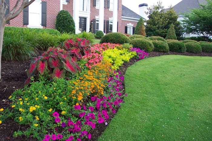 Classic Layered Landscape Flower Bed