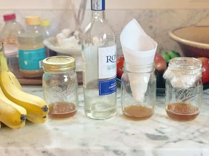 Make a Fruit Fly Trap