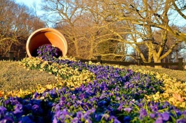 Create a Sense of Serenity with Purple Pansies