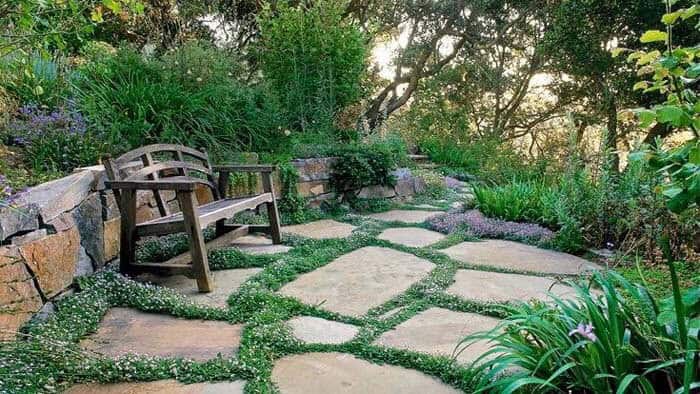 Relax and Recharge with a Vintage Garden Bench