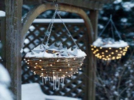 Wrap Your Winter Planters with Christmas Lights