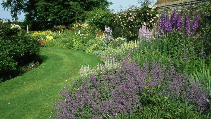 Welcome Guests with Garden Beauty and Scent