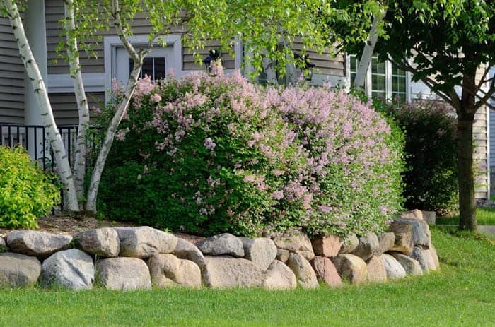 Retaining Wall Rocks