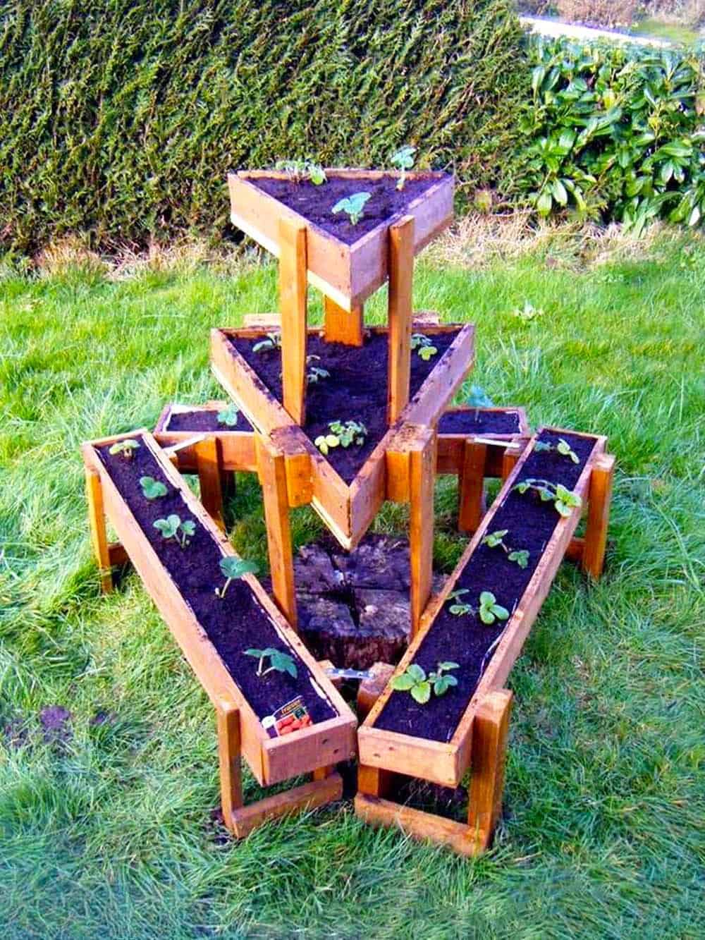 Geometric Garden Beds