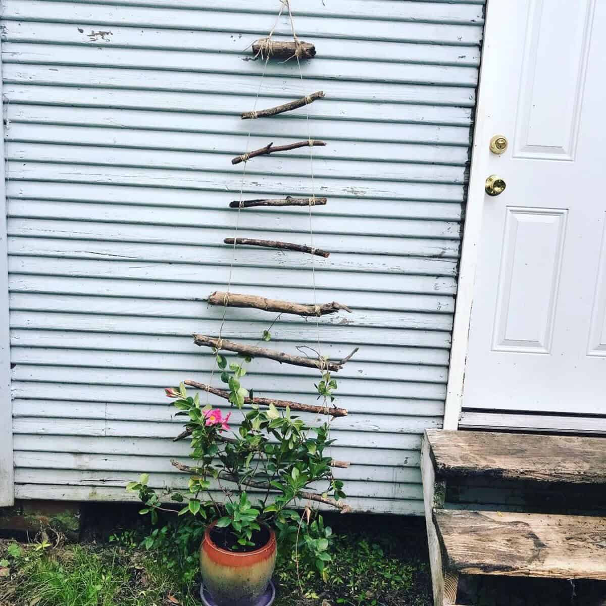 DIY Branch Trellis