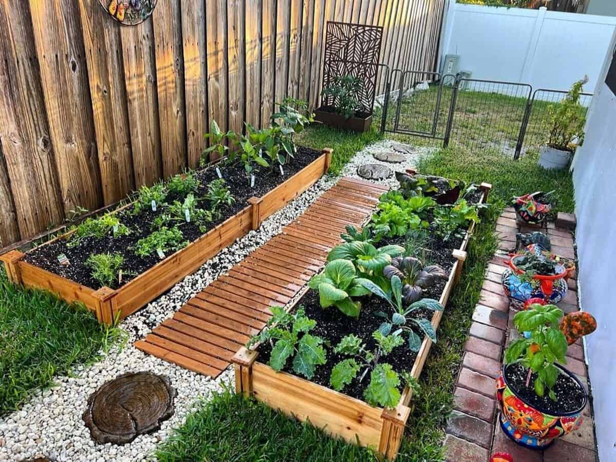 Garden Beds Aside A Wooden Walkway