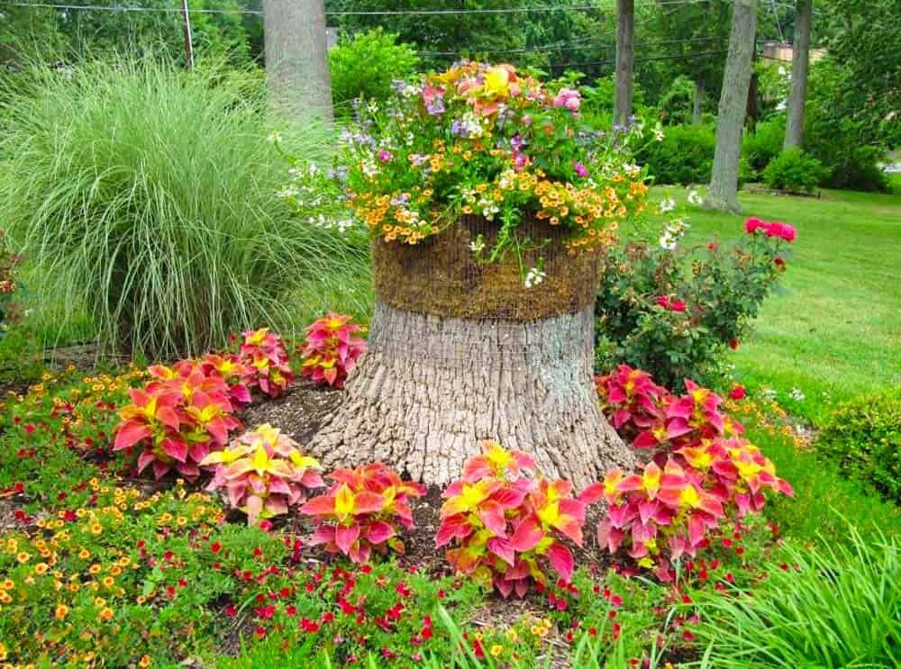 Tree Stump Planter