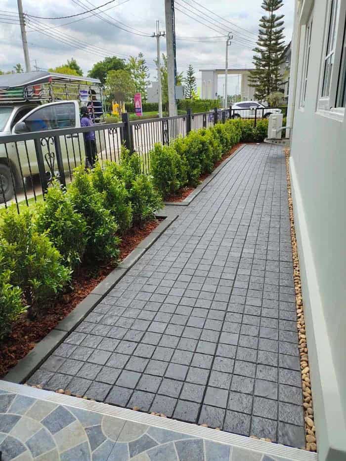 Evergreen Shrubs In A Mulch Bed