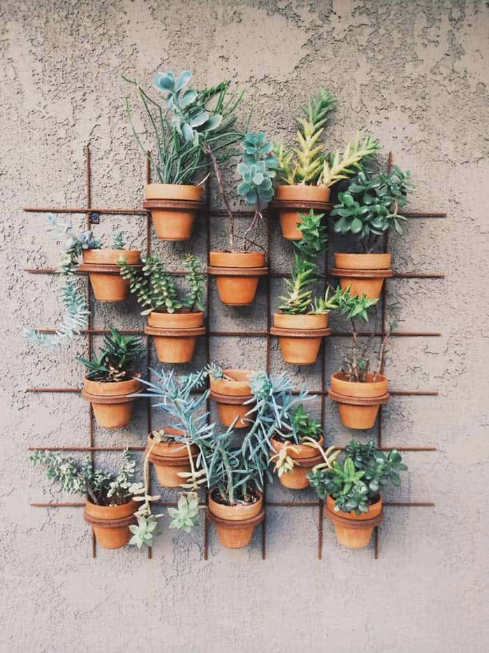 Terracotta Planter Grid