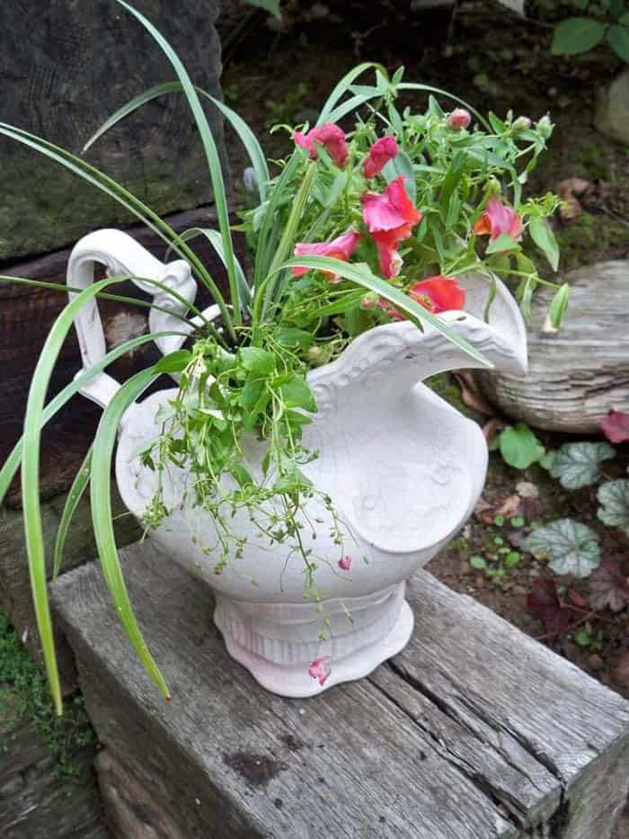 Cottage Garden Vintage Pitcher