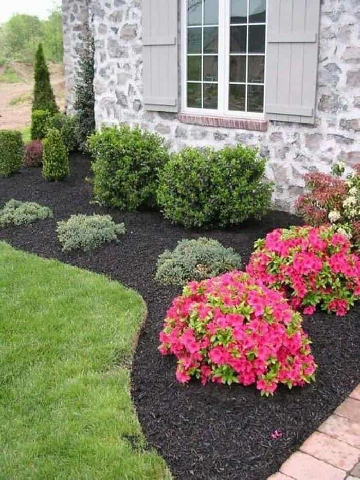 Easy Bright Garden Area