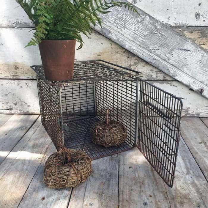 Transform an Old Animal Cage Into a Plant Stand