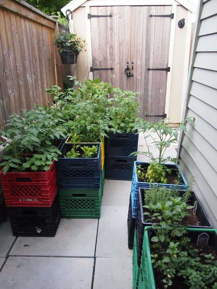 Upcycle Crates to Make Your Raised Garden Beds