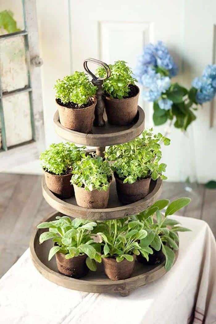 Tiered Herb Garden