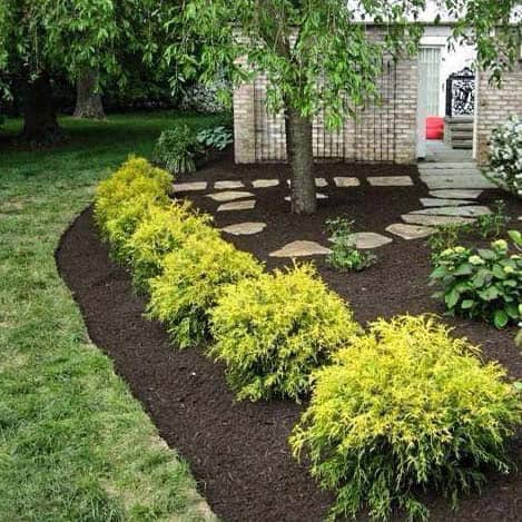 Utilize Mulch as an Alternative Pathway Decor