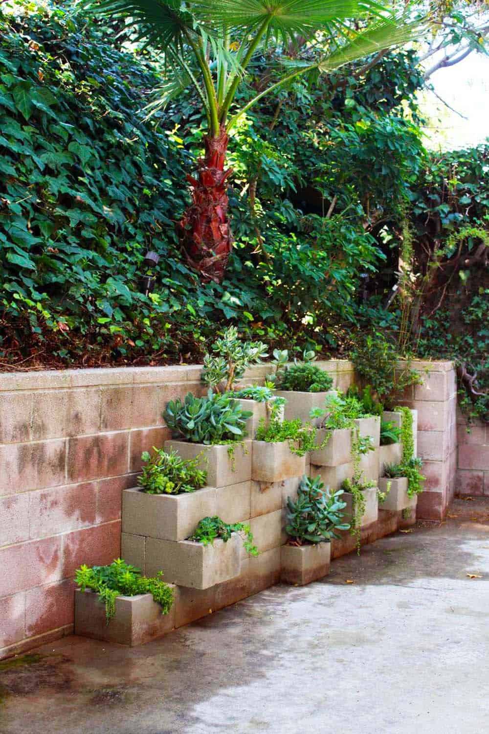 Succulent Cinderblock Wall