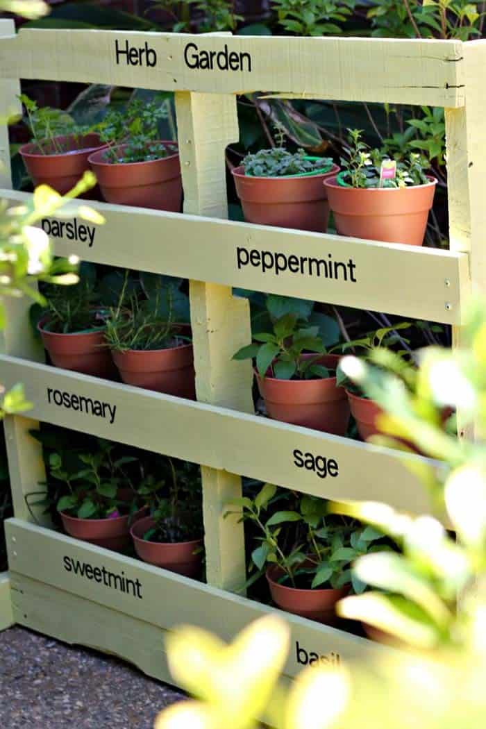 Create an Eye-Catching Vertical Pallet Herb Garden