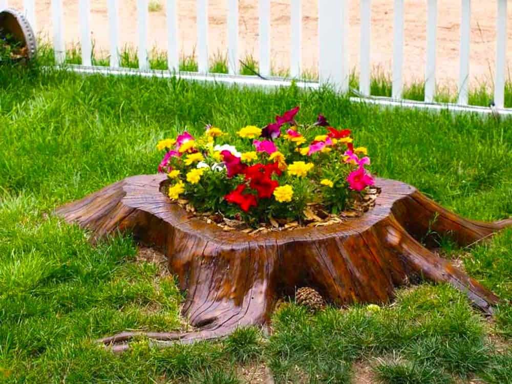 Stump Flowerbed