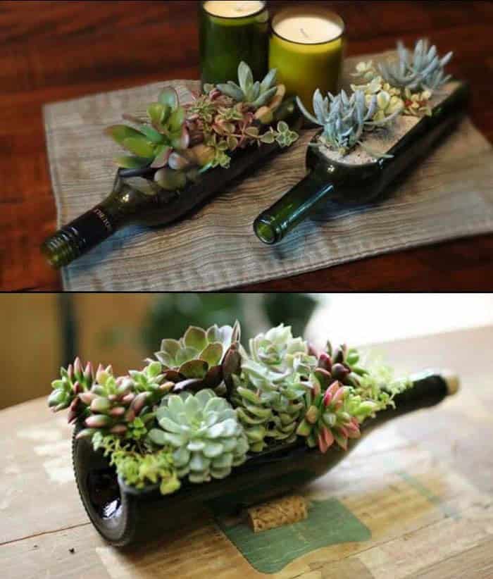 Turn Wine Bottles into Eye-Catching Succulent Planters