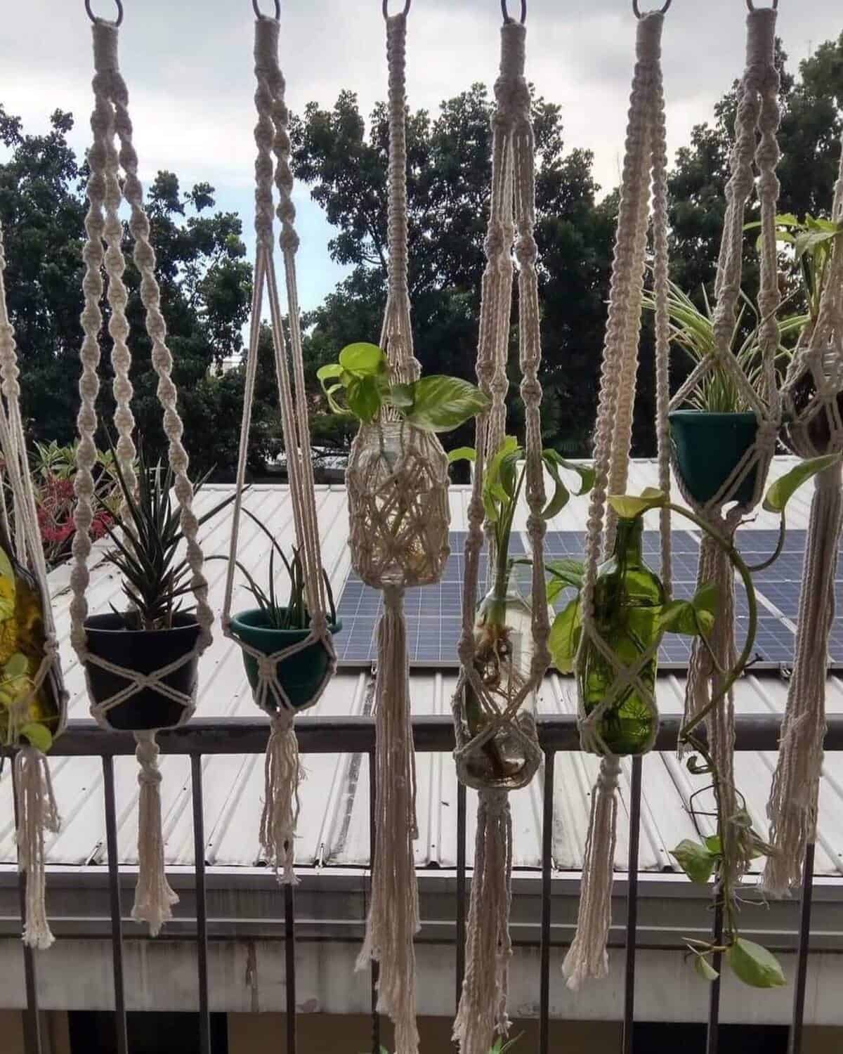 A Living Balcony Curtain