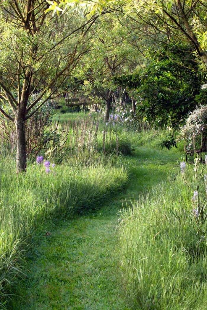 Achieve Serenity with a Tranquil Grass Pathway