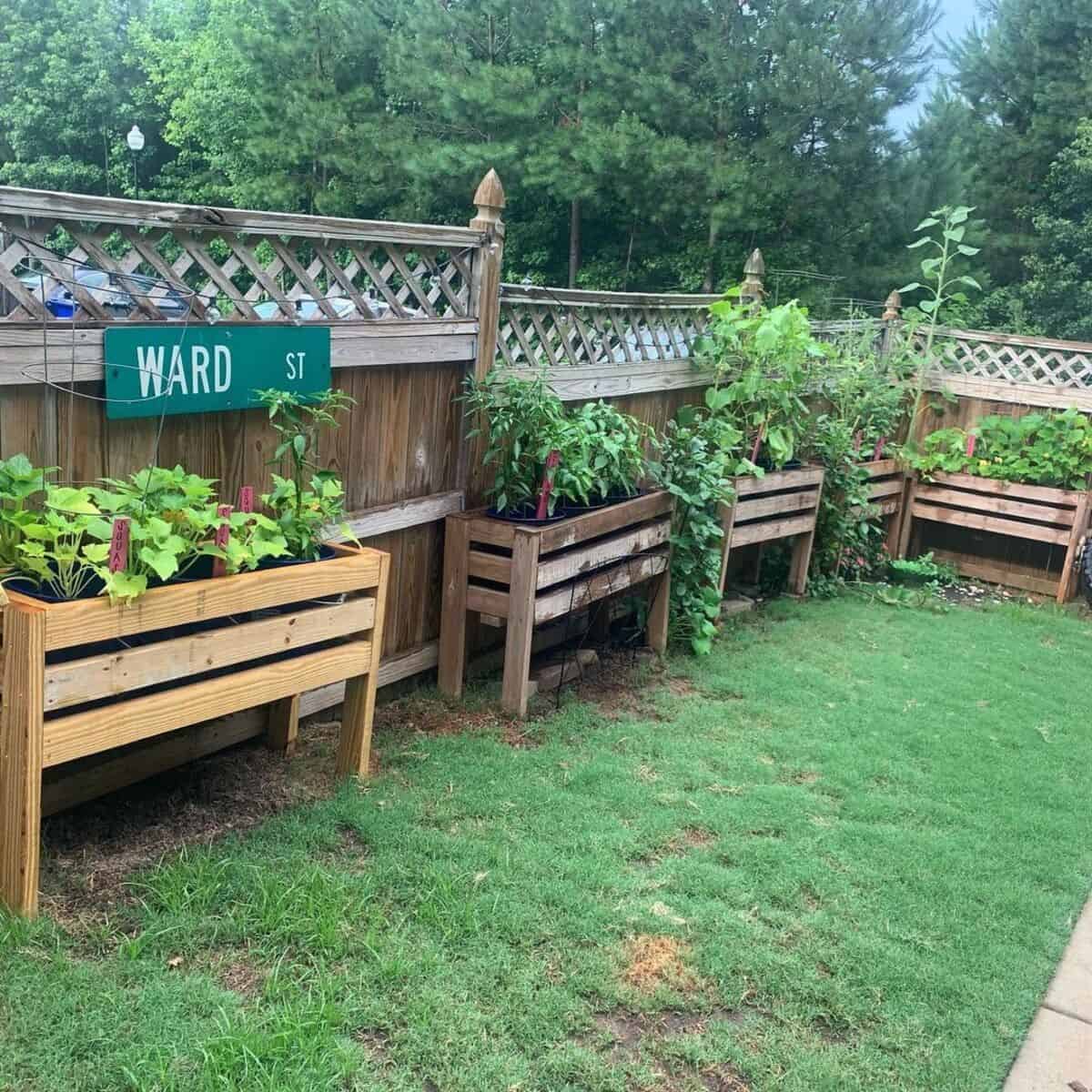 Raised Garden