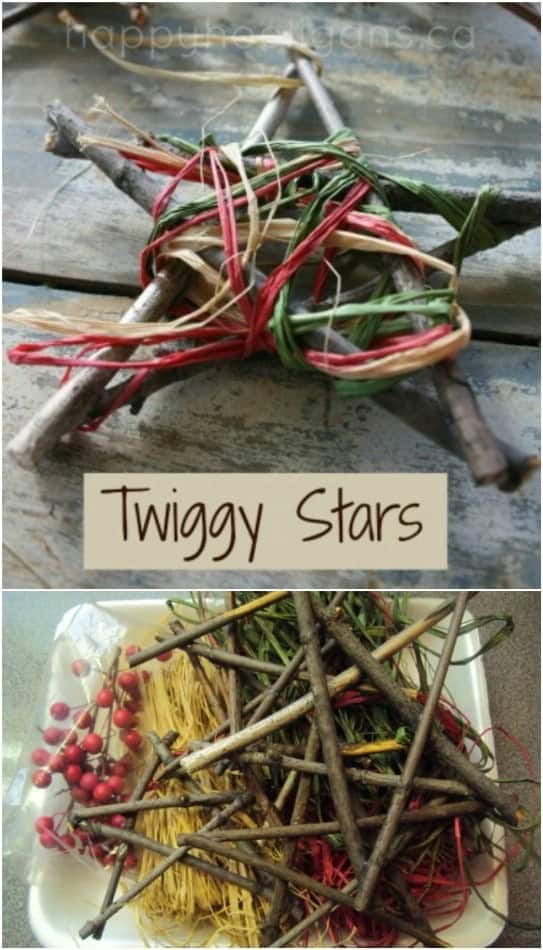 Primitive Twig Star Project