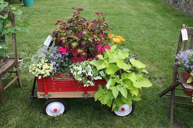 Garden Cart