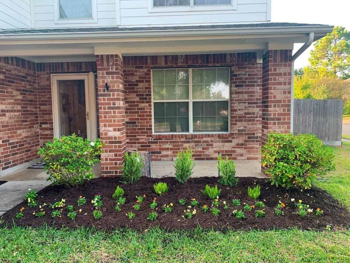 Flower Bed With No Edging