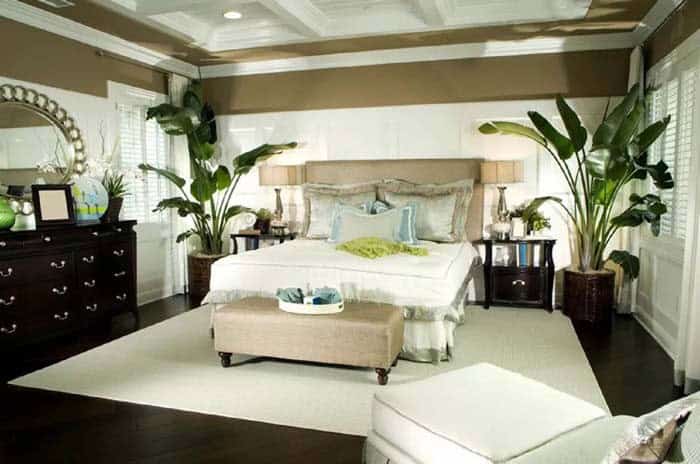 Use Palm Trees for Air-Purifying Bedroom Decor