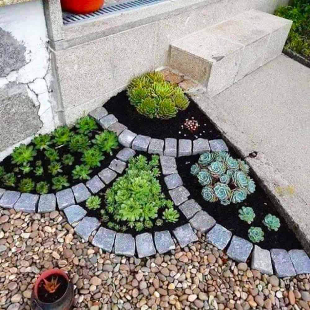 Succulent Spiral Bed