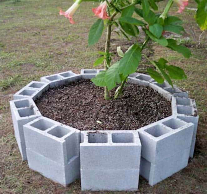 Cinder Blocks Flower Bed