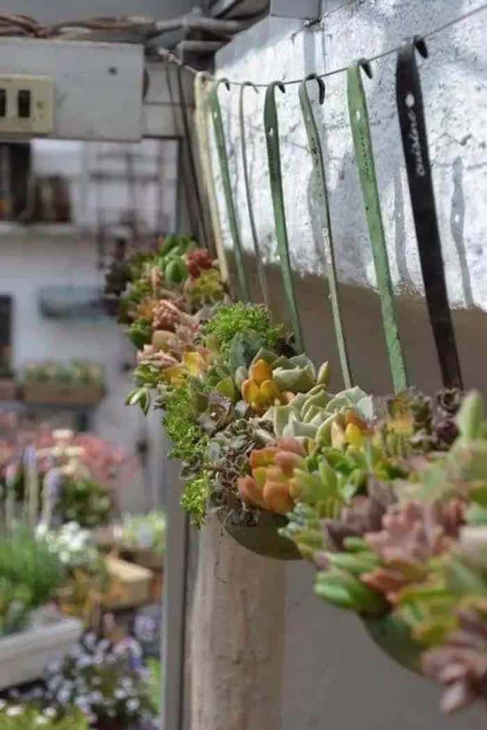 Vertical Planter with Antique Soup Ladles and Succulents