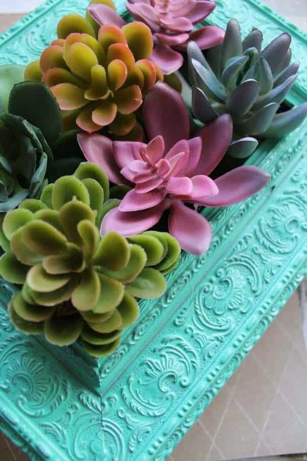 Repurposed Frame Succulent Tray