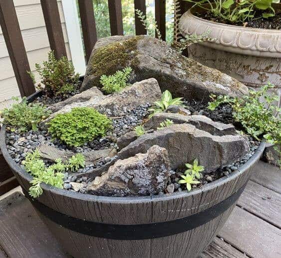 Fairy Garden With Rocks